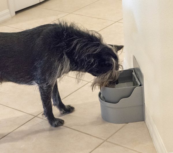 Side View of dog drinking from Perpetual Well Automatic Water Bowl