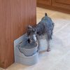 Dog drinking from Perpetual Well Automatic Water Bowl