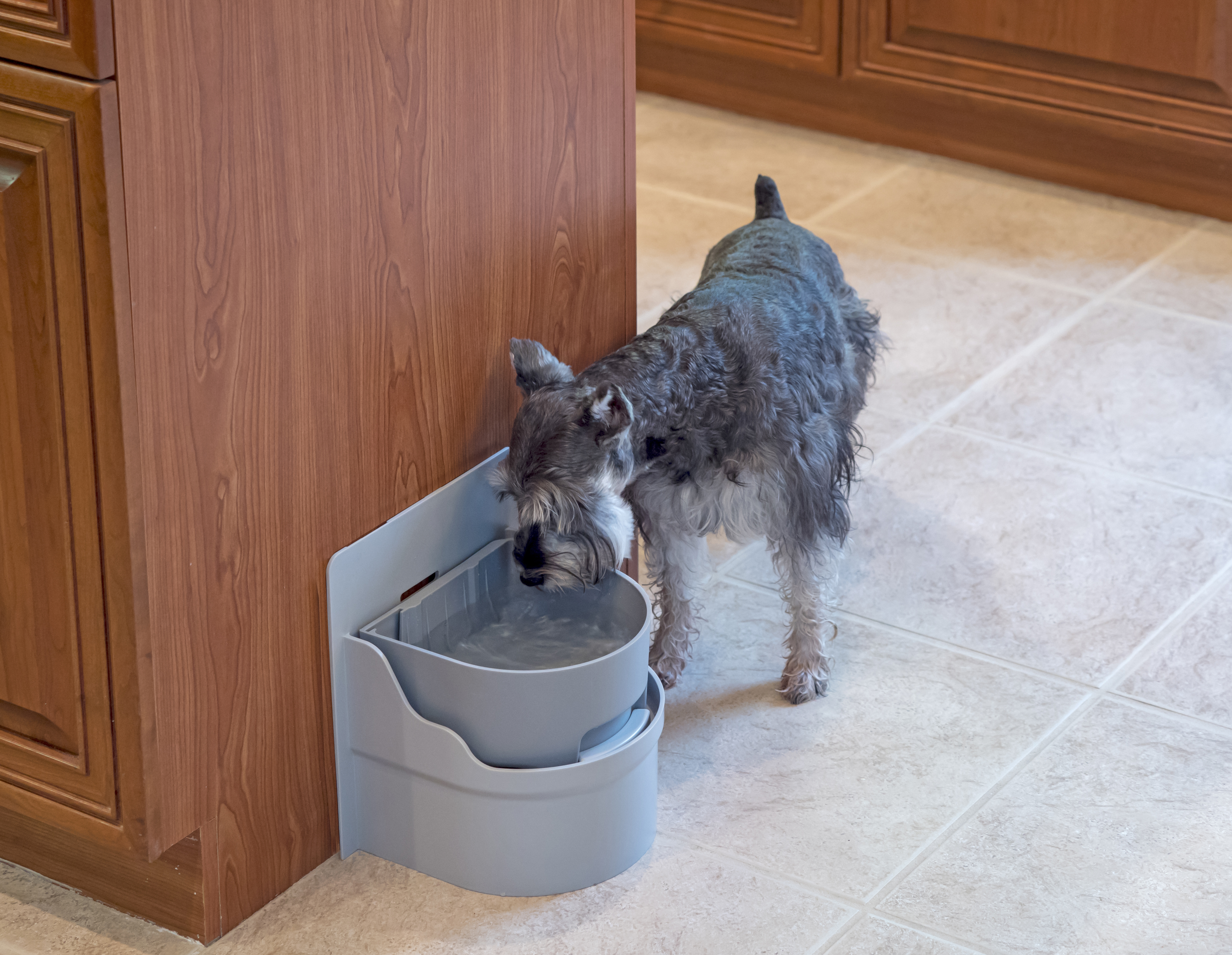 filtered dog water bowl