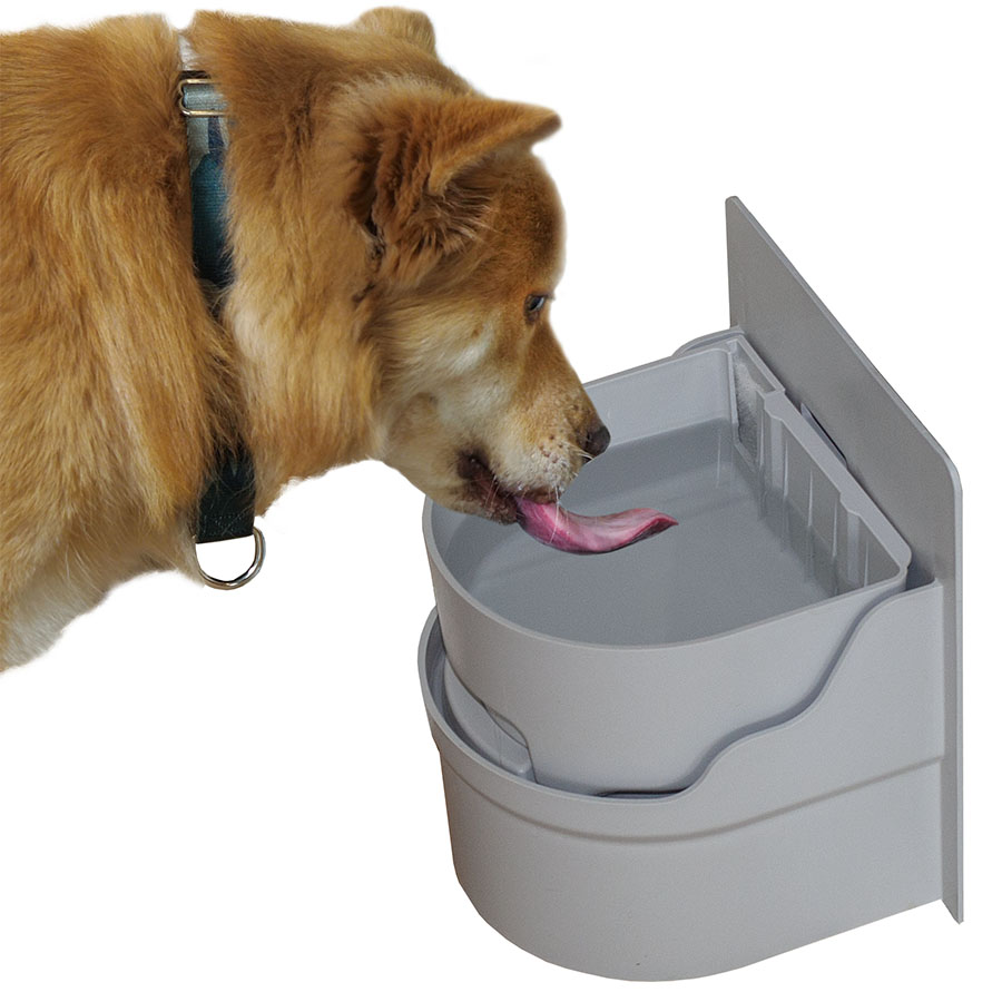 automatic dog waterer