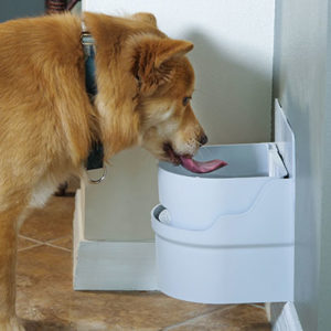 Automatic water shop dispenser for pets