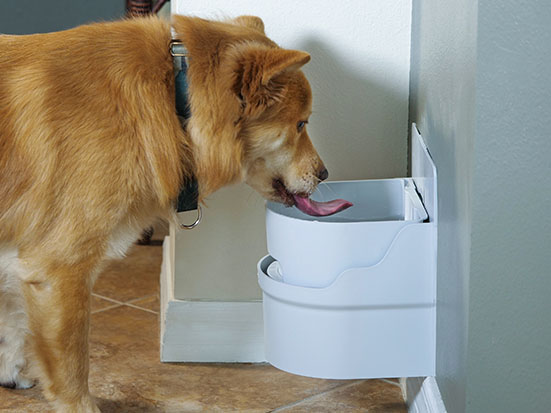 3 Gallons Extra Large Dog Water Bowl for Large Dogs, Big Dog Water Bowl  High