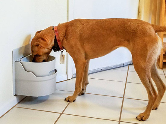 Electric water clearance bowls for dogs