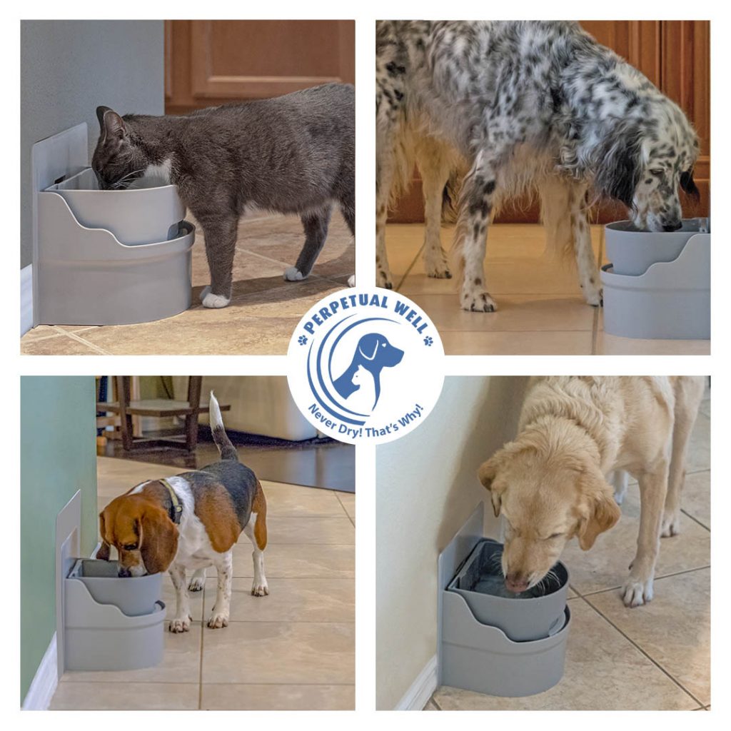 automatic dog waterer